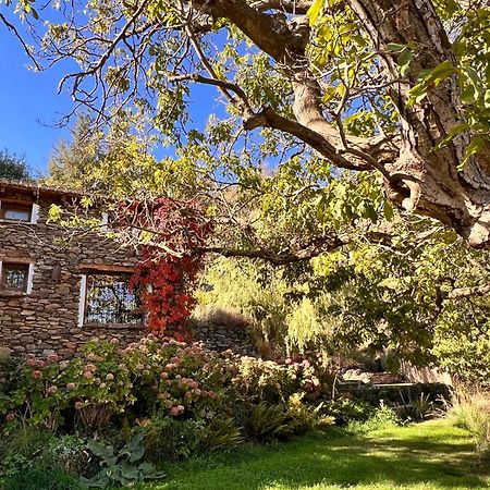La Casa Del Nogal Villa Guejar Sierra Buitenkant foto