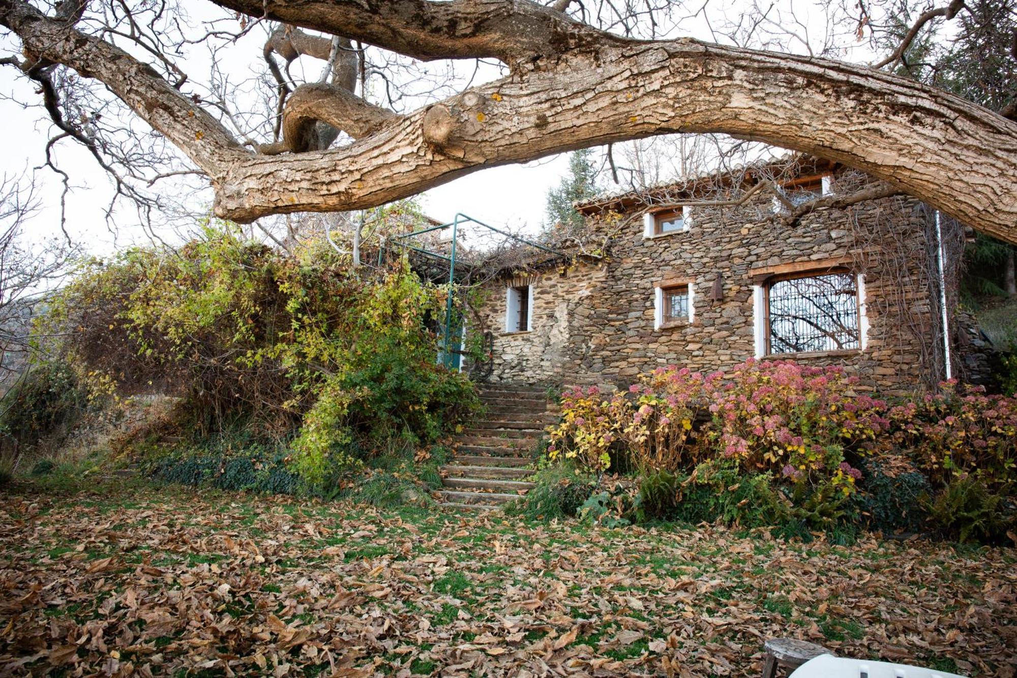 La Casa Del Nogal Villa Guejar Sierra Buitenkant foto